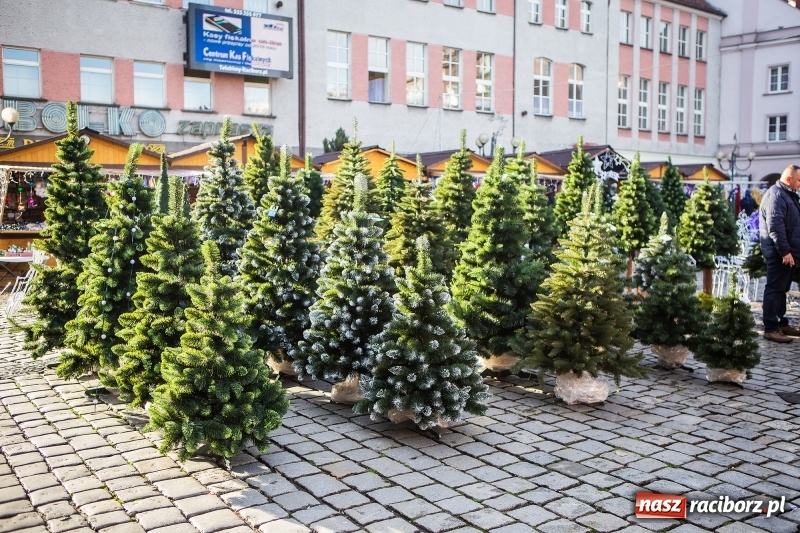 Zdjęcie w galerii na portalu naszraciborz.pl: Zagroda z Mikołajem i żywymi reniferami na rynku wiadomości z regionu