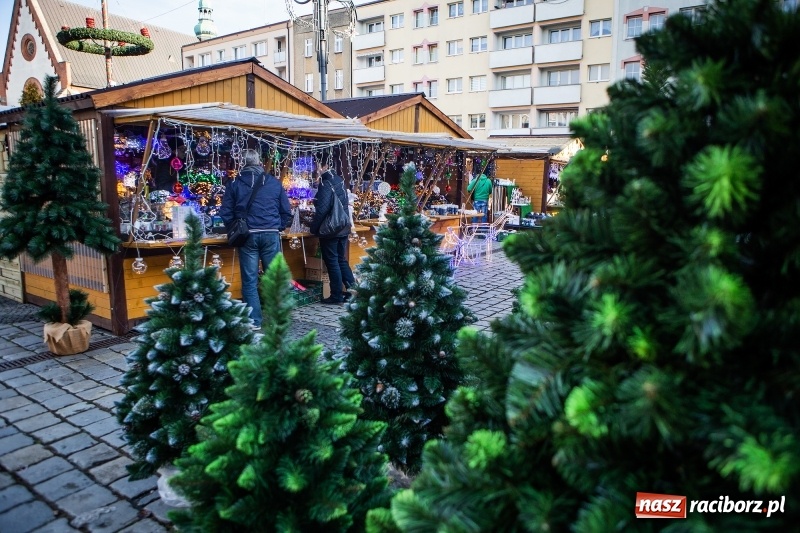 Zdjęcie w galerii na portalu naszraciborz.pl: Zagroda z Mikołajem i żywymi reniferami na rynku wiadomości z regionu