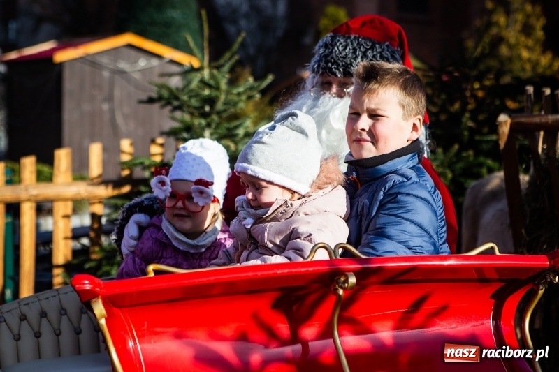 Zdjęcie w galerii na portalu naszraciborz.pl: Zagroda z Mikołajem i żywymi reniferami na rynku wiadomości z regionu