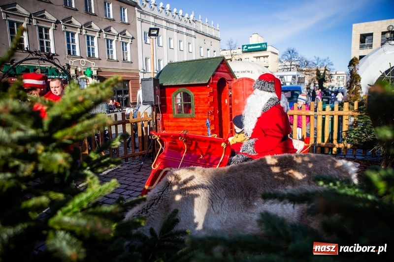 Zdjęcie w galerii na portalu naszraciborz.pl: Zagroda z Mikołajem i żywymi reniferami na rynku wiadomości z regionu