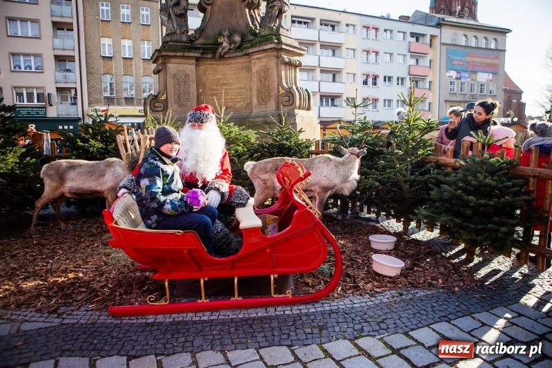Zdjęcie w galerii na portalu naszraciborz.pl: Zagroda z Mikołajem i żywymi reniferami na rynku wiadomości z regionu