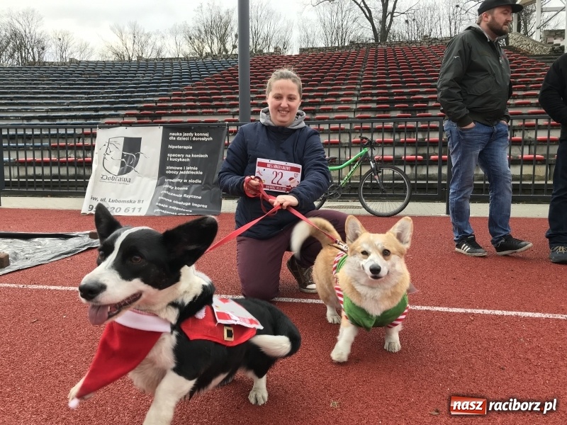 Zdjęcie w galerii na portalu naszraciborz.pl: Raciborski Bieg Mikołajkowy FOTO i WIDEO wiadomości z regionu