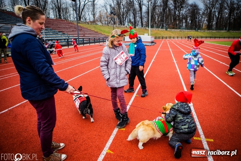 Zdjęcie w galerii na portalu naszraciborz.pl: Raciborski Bieg Mikołajkowy FOTO i WIDEO wiadomości z regionu
