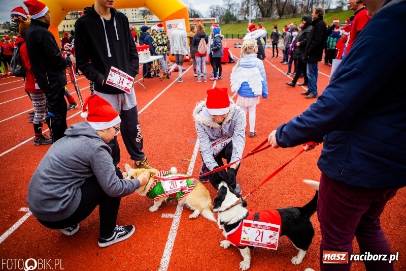 Zdjęcie w galerii na portalu naszraciborz.pl: Raciborski Bieg Mikołajkowy FOTO i WIDEO wiadomości z regionu