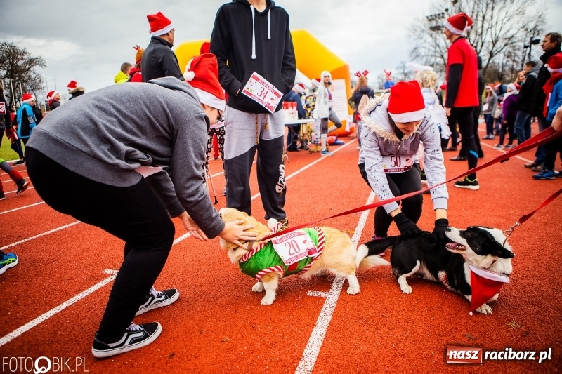 Zdjęcie w galerii na portalu naszraciborz.pl: Raciborski Bieg Mikołajkowy FOTO i WIDEO wiadomości z regionu