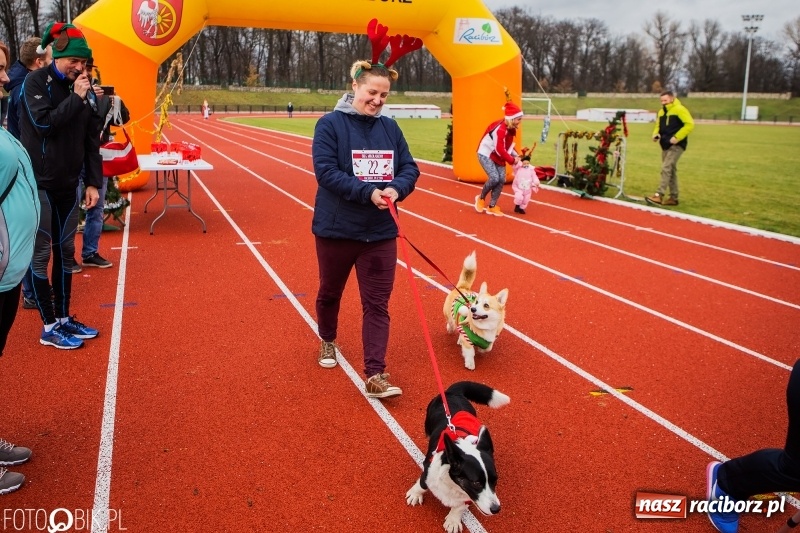 Zdjęcie w galerii na portalu naszraciborz.pl: Raciborski Bieg Mikołajkowy FOTO i WIDEO wiadomości z regionu