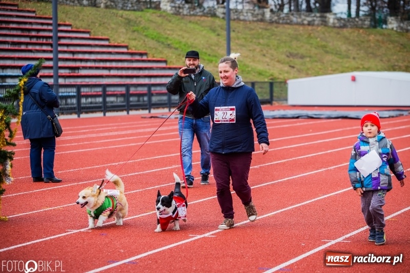Zdjęcie w galerii na portalu naszraciborz.pl: Raciborski Bieg Mikołajkowy FOTO i WIDEO wiadomości z regionu