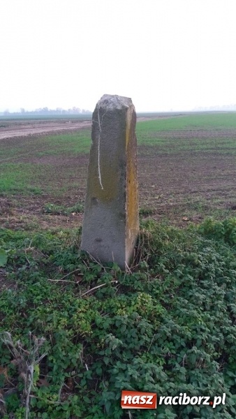 Zdjęcie w galerii na portalu naszraciborz.pl: Odra 1945 na tropie historii. Kamienne drogowskazy  wiadomości z regionu