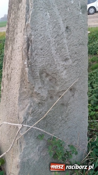 Zdjęcie w galerii na portalu naszraciborz.pl: Odra 1945 na tropie historii. Kamienne drogowskazy  wiadomości z regionu