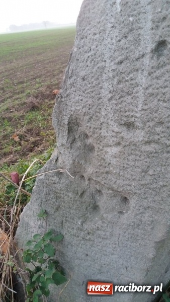 Zdjęcie w galerii na portalu naszraciborz.pl: Odra 1945 na tropie historii. Kamienne drogowskazy  wiadomości z regionu