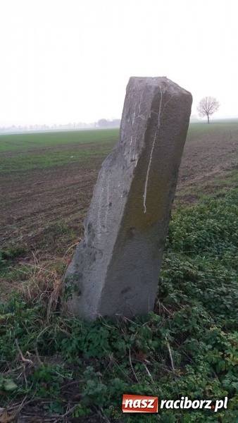 Zdjęcie w galerii na portalu naszraciborz.pl: Odra 1945 na tropie historii. Kamienne drogowskazy  wiadomości z regionu