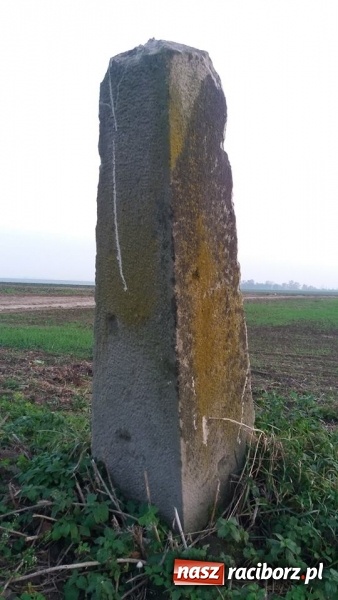 Zdjęcie w galerii na portalu naszraciborz.pl: Odra 1945 na tropie historii. Kamienne drogowskazy  wiadomości z regionu