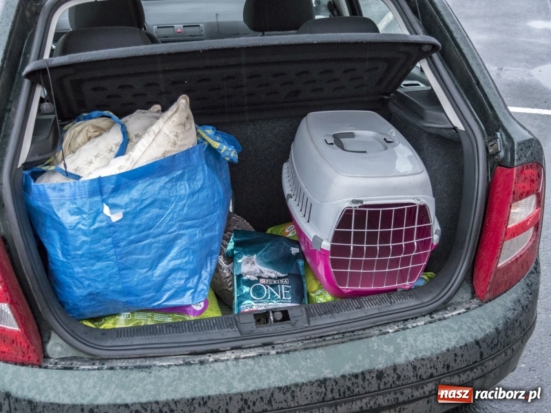 Zdjęcie w galerii na portalu naszraciborz.pl: Zlot i zbiórka na schronisko na parkingu Auchan  wiadomości z regionu