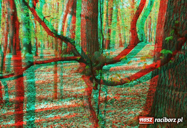 Zdjęcie w galerii na portalu naszraciborz.pl: Tajemniczy świat 3D wiadomości z regionu