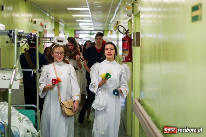 Zdjęcie w galerii na portalu naszraciborz.pl: Studenci PWSZ w Raciborzu z akcją świąteczną w raciborskim szpitalu wiadomości z regionu
