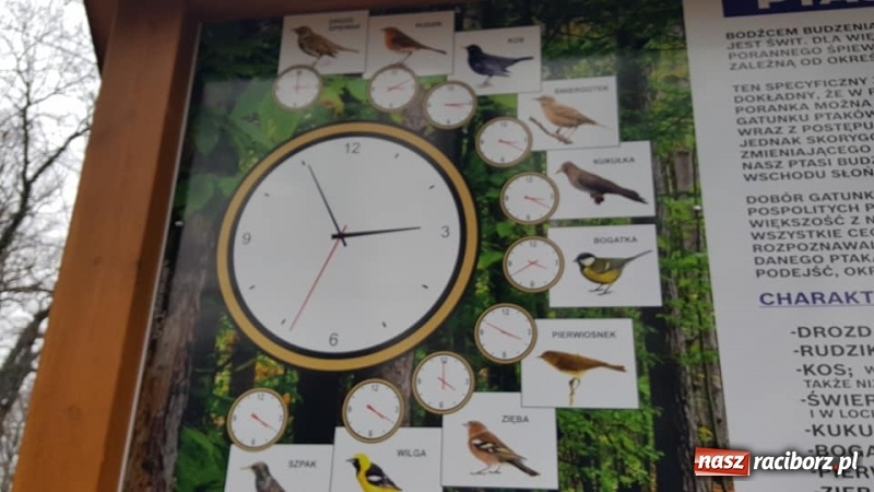 Zdjęcie w galerii na portalu naszraciborz.pl: Przypałacowy park w Tworkowie imponuje. Widać już efekty modernizacji  wiadomości z regionu