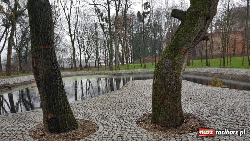 Zdjęcie w galerii na portalu naszraciborz.pl: Przypałacowy park w Tworkowie imponuje. Widać już efekty modernizacji  wiadomości z regionu