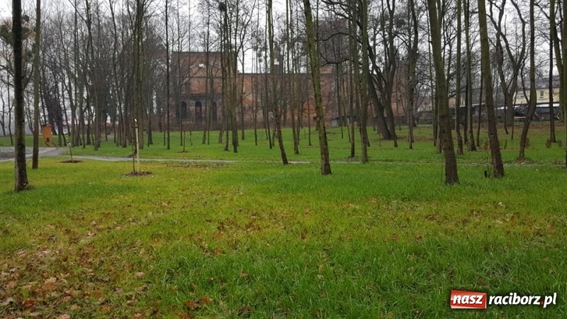 Zdjęcie w galerii na portalu naszraciborz.pl: Przypałacowy park w Tworkowie imponuje. Widać już efekty modernizacji  wiadomości z regionu