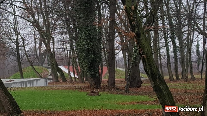 Zdjęcie w galerii na portalu naszraciborz.pl: Przypałacowy park w Tworkowie imponuje. Widać już efekty modernizacji  wiadomości z regionu