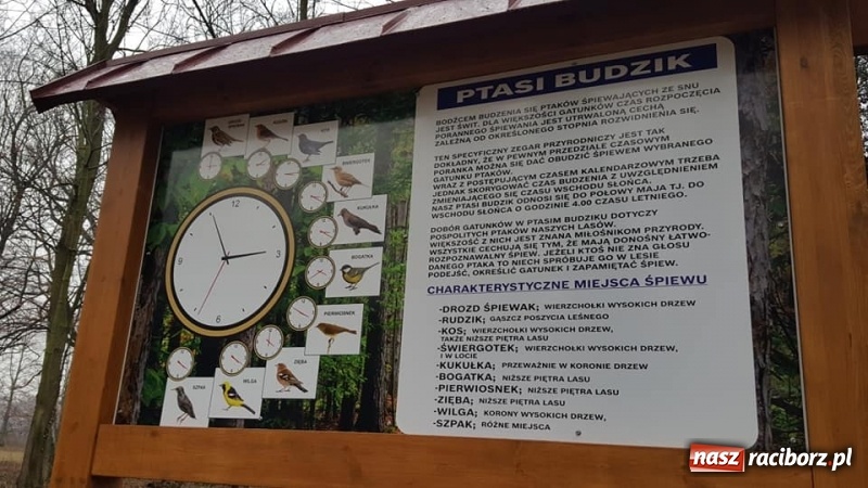 Zdjęcie w galerii na portalu naszraciborz.pl: Przypałacowy park w Tworkowie imponuje. Widać już efekty modernizacji  wiadomości z regionu