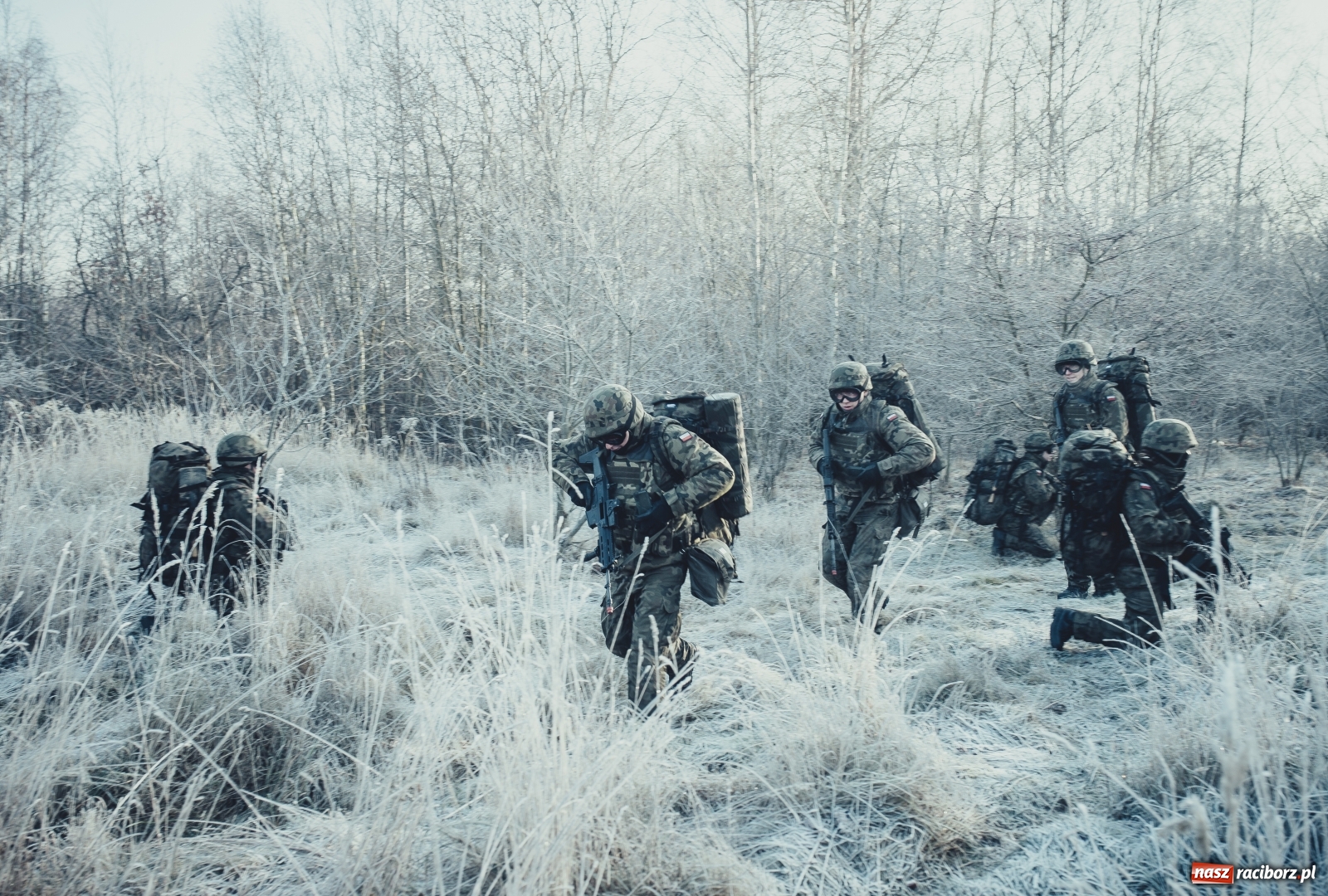 Zdjęcie w galerii na portalu naszraciborz.pl: Do Terytorialsów zgłosisz się przez Internet wiadomości z regionu