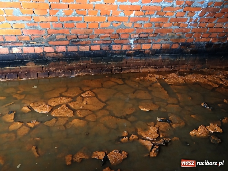 Zdjęcie w galerii na portalu naszraciborz.pl: Przy ulicy Stalmacha odkryto podziemny kanał  wiadomości z regionu