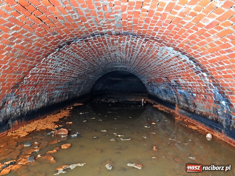 Zdjęcie w galerii na portalu naszraciborz.pl: Przy ulicy Stalmacha odkryto podziemny kanał  wiadomości z regionu