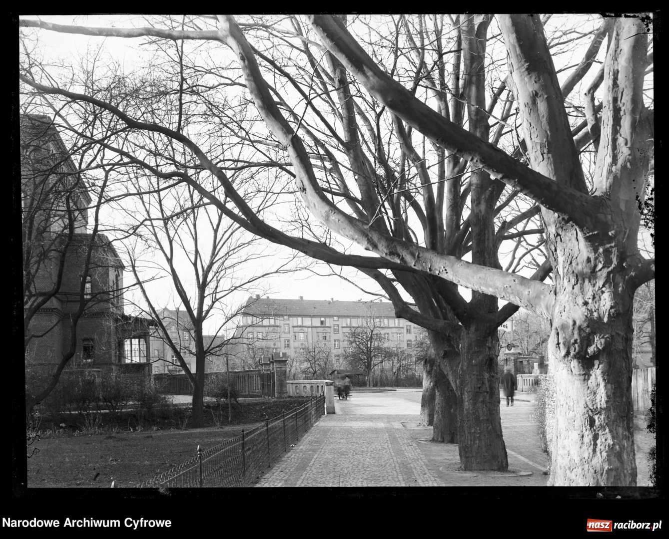 Zdjęcie w galerii na portalu naszraciborz.pl: Przy ulicy Stalmacha odkryto podziemny kanał  wiadomości z regionu