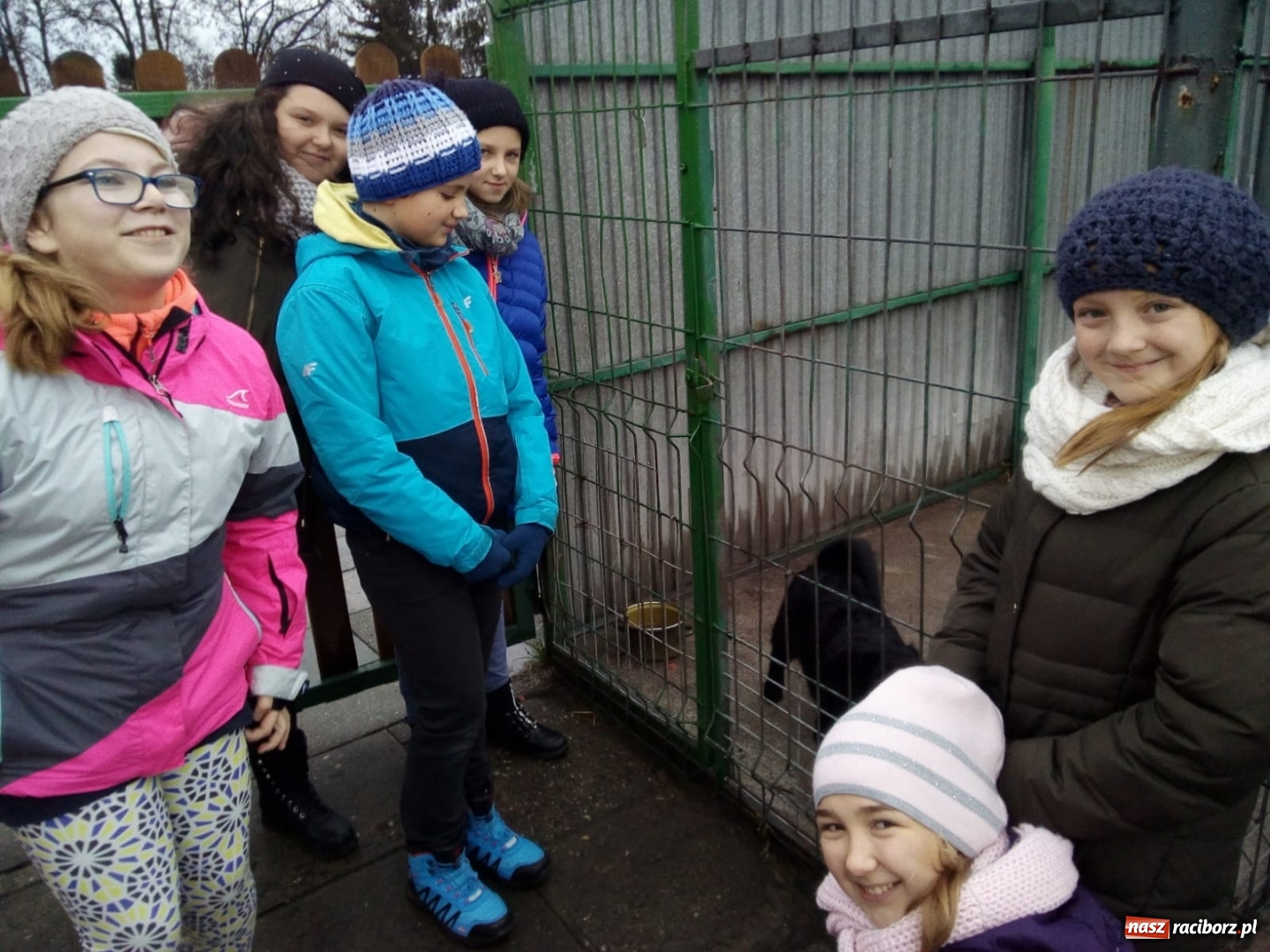 Zdjęcie w galerii na portalu naszraciborz.pl: Klub Wolontariusza z Kuźni Raciborskiej wspomógł raciborskie schronisko wiadomości z regionu