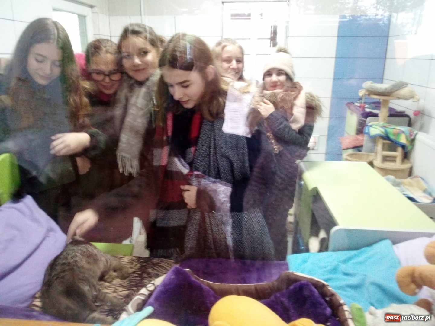 Zdjęcie w galerii na portalu naszraciborz.pl: Klub Wolontariusza z Kuźni Raciborskiej wspomógł raciborskie schronisko wiadomości z regionu