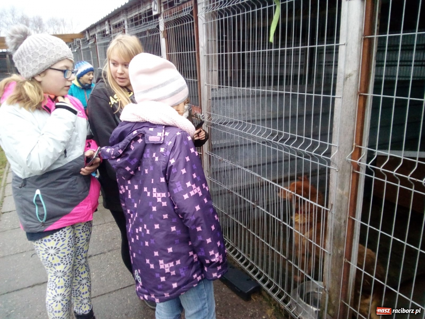 Zdjęcie w galerii na portalu naszraciborz.pl: Klub Wolontariusza z Kuźni Raciborskiej wspomógł raciborskie schronisko wiadomości z regionu