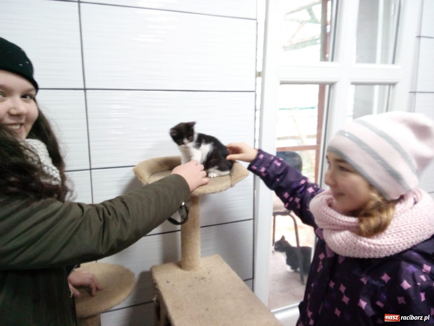 Zdjęcie w galerii na portalu naszraciborz.pl: Klub Wolontariusza z Kuźni Raciborskiej wspomógł raciborskie schronisko wiadomości z regionu