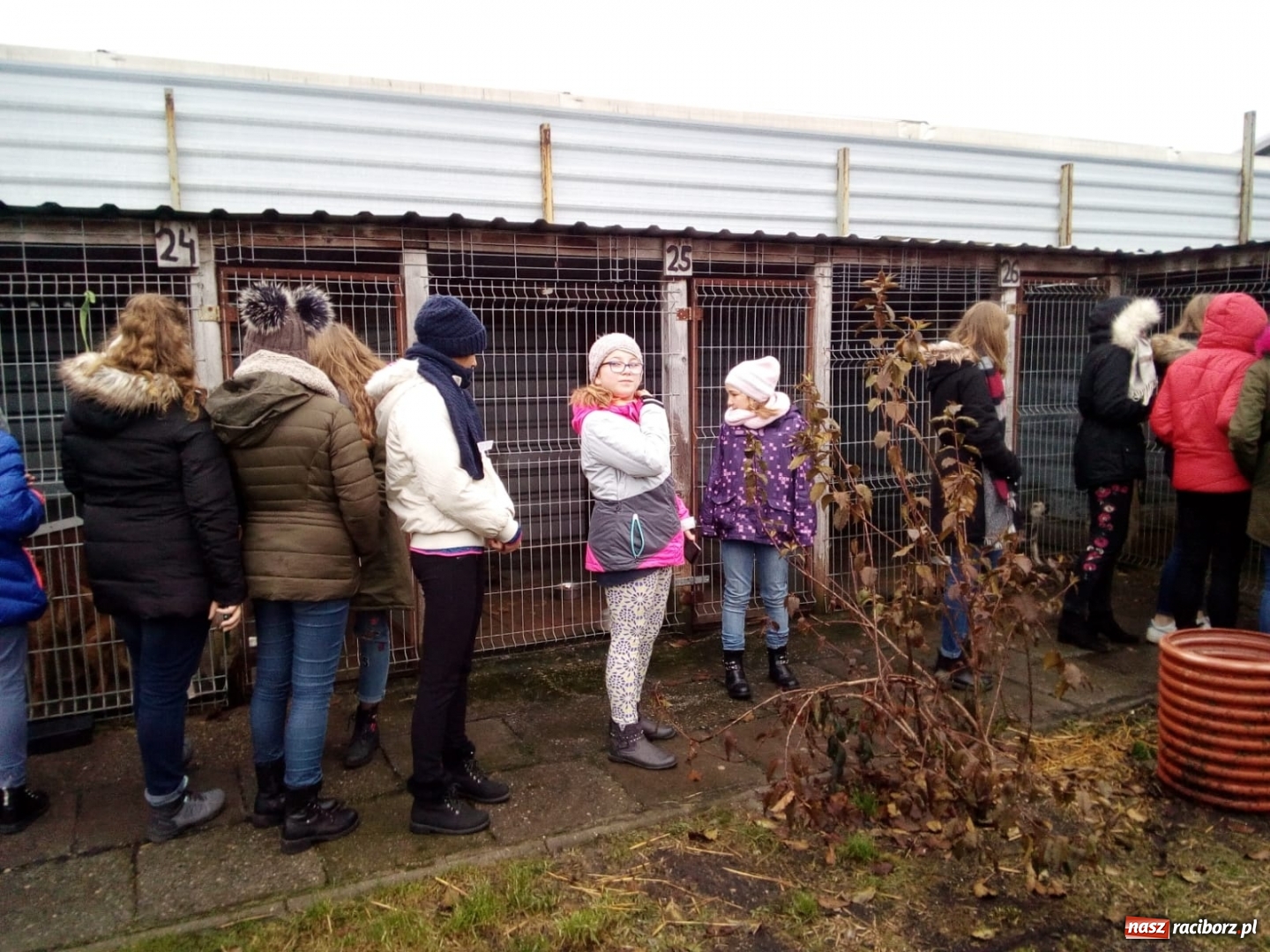 Zdjęcie w galerii na portalu naszraciborz.pl: Klub Wolontariusza z Kuźni Raciborskiej wspomógł raciborskie schronisko wiadomości z regionu