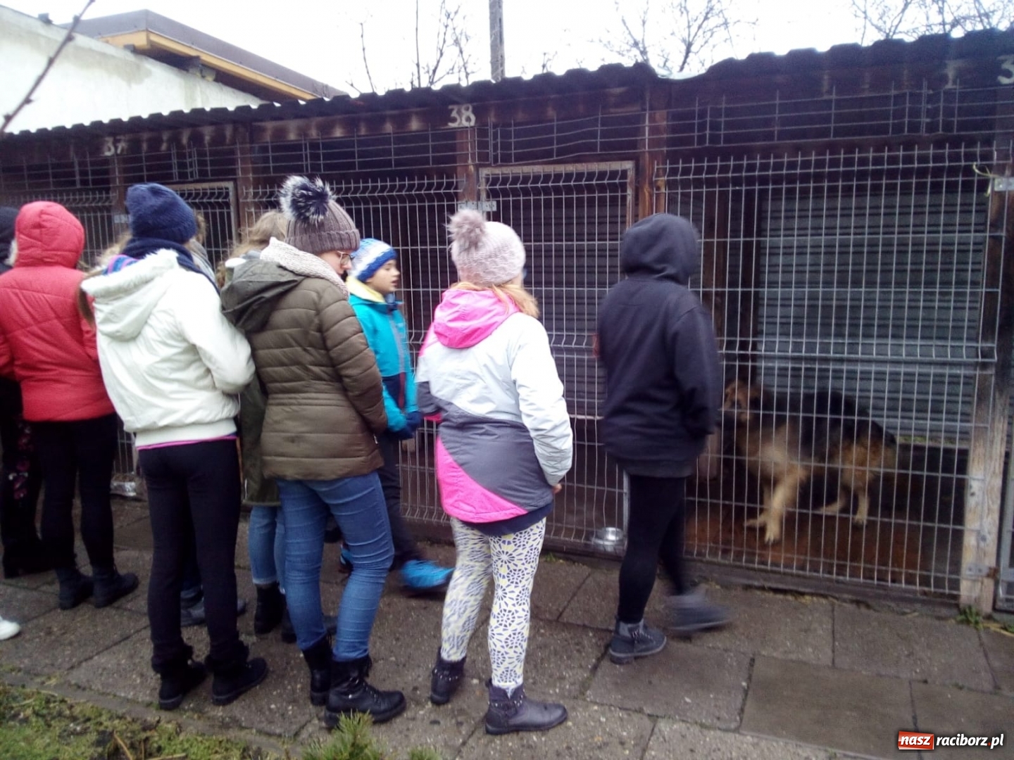 Zdjęcie w galerii na portalu naszraciborz.pl: Klub Wolontariusza z Kuźni Raciborskiej wspomógł raciborskie schronisko wiadomości z regionu