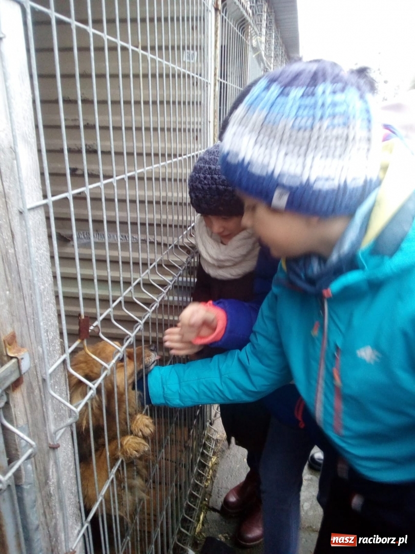 Zdjęcie w galerii na portalu naszraciborz.pl: Klub Wolontariusza z Kuźni Raciborskiej wspomógł raciborskie schronisko wiadomości z regionu