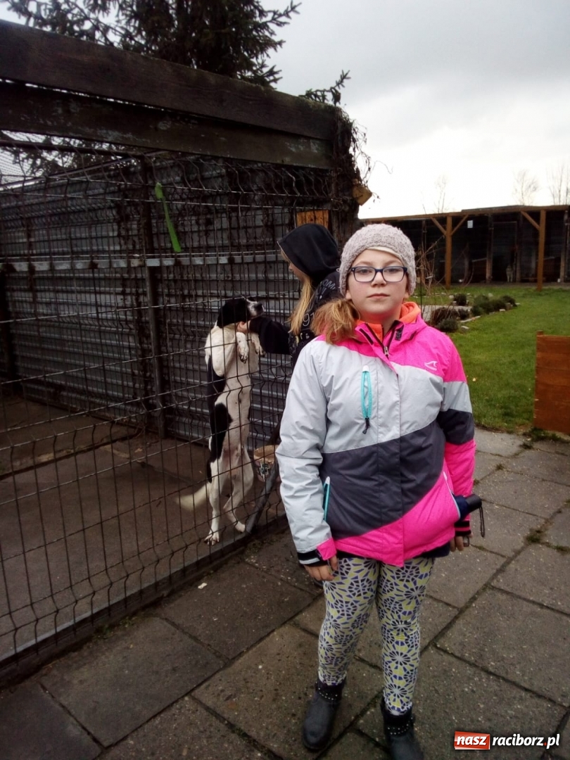 Zdjęcie w galerii na portalu naszraciborz.pl: Klub Wolontariusza z Kuźni Raciborskiej wspomógł raciborskie schronisko wiadomości z regionu