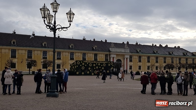 Zdjęcie w galerii na portalu naszraciborz.pl: Uczniowie SP 15 na Jarmarku Bożonarodzeniowym w Wiedniu wiadomości z regionu