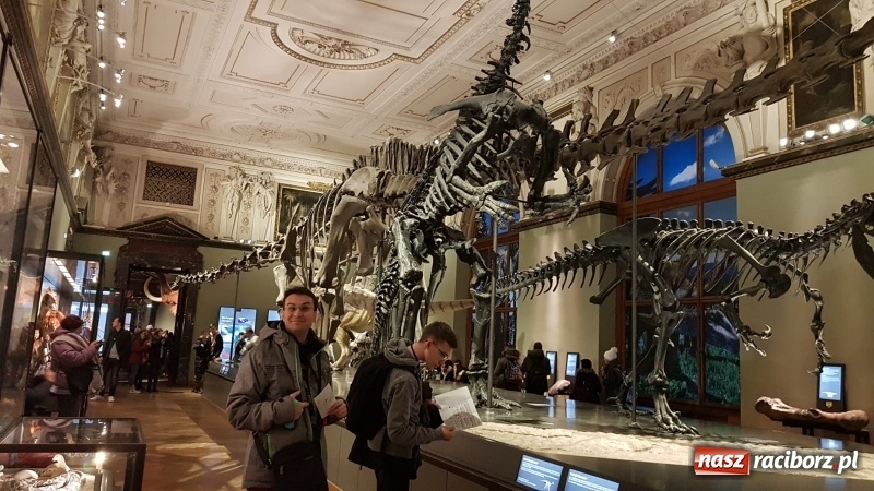 Zdjęcie w galerii na portalu naszraciborz.pl: Uczniowie SP 15 na Jarmarku Bożonarodzeniowym w Wiedniu wiadomości z regionu