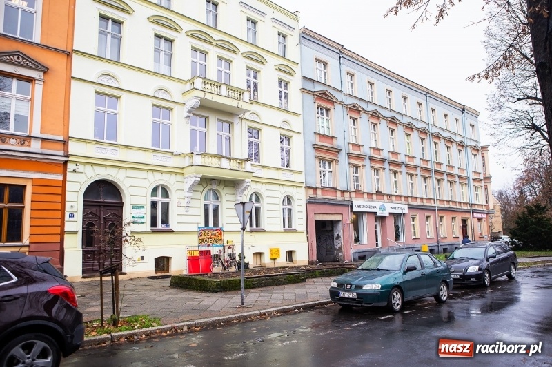 Zdjęcie w galerii na portalu naszraciborz.pl: DRZEWO POLIS - proste drogi w świecie finansów i ubezpieczeń wiadomości z regionu