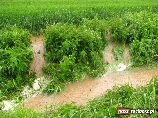 Zdjęcie w galerii na portalu naszraciborz.pl: Zalało Ściborzyce i Pilszcz wiadomości z regionu