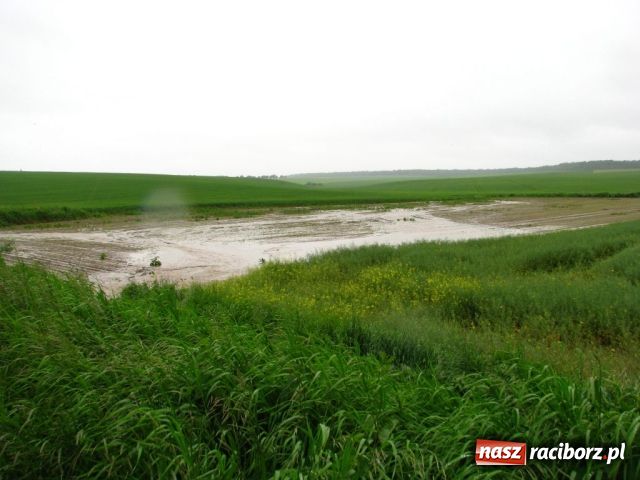 Zdjęcie w galerii na portalu naszraciborz.pl: Zalało Ściborzyce i Pilszcz wiadomości z regionu
