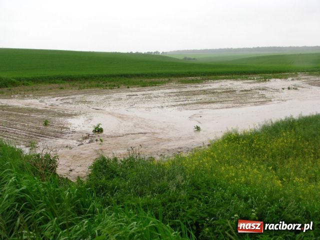 Zdjęcie w galerii na portalu naszraciborz.pl: Zalało Ściborzyce i Pilszcz wiadomości z regionu