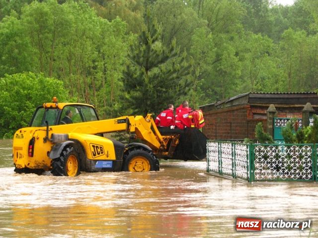 Zdjęcie w galerii na portalu naszraciborz.pl: Zalało Ściborzyce i Pilszcz wiadomości z regionu