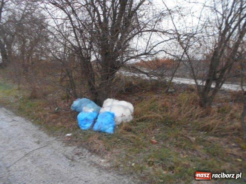 Zdjęcie w galerii na portalu naszraciborz.pl: Dokumenty w śmieciach zgubiły właściciela wiadomości z regionu
