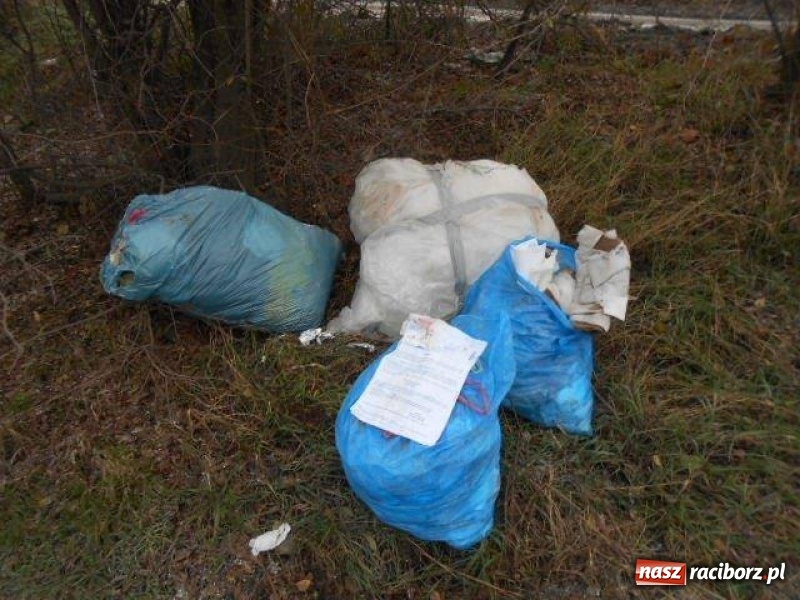 Zdjęcie w galerii na portalu naszraciborz.pl: Dokumenty w śmieciach zgubiły właściciela wiadomości z regionu