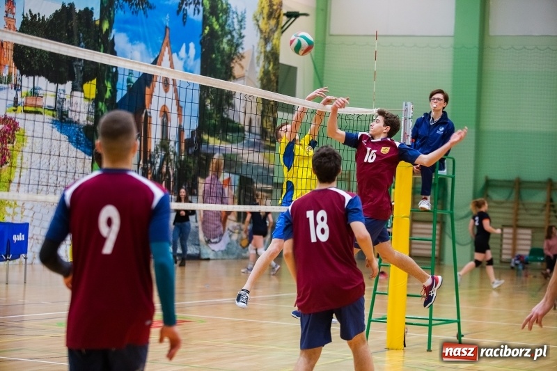 Zdjęcie w galerii na portalu naszraciborz.pl: Turniej Mikołajkowy w Piłce Siatkowej w Arenie Rafako wiadomości z regionu