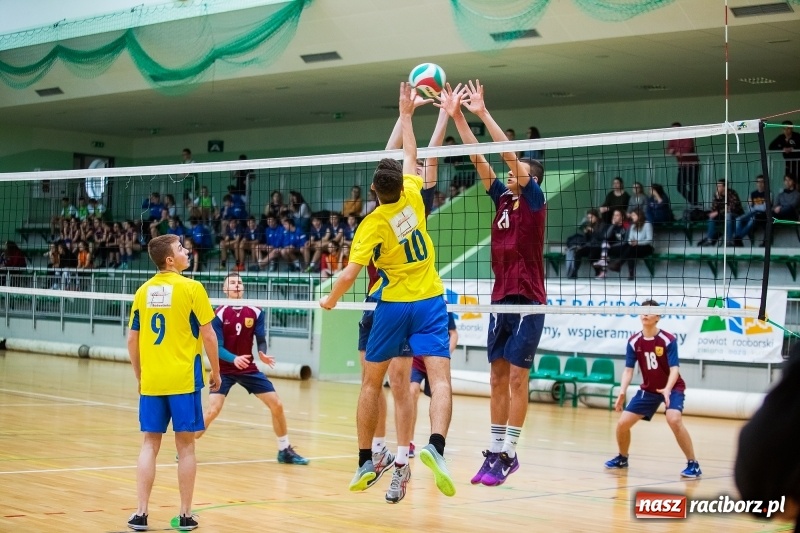 Zdjęcie w galerii na portalu naszraciborz.pl: Turniej Mikołajkowy w Piłce Siatkowej w Arenie Rafako wiadomości z regionu