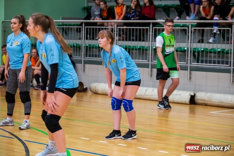 Zdjęcie w galerii na portalu naszraciborz.pl: Turniej Mikołajkowy w Piłce Siatkowej w Arenie Rafako wiadomości z regionu