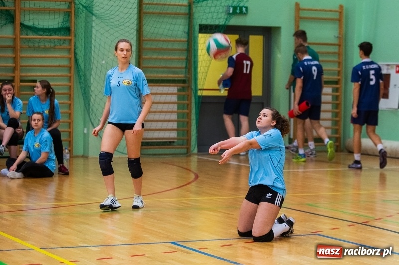 Zdjęcie w galerii na portalu naszraciborz.pl: Turniej Mikołajkowy w Piłce Siatkowej w Arenie Rafako wiadomości z regionu