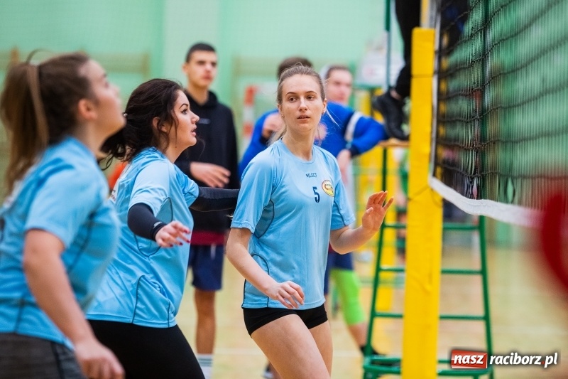 Zdjęcie w galerii na portalu naszraciborz.pl: Turniej Mikołajkowy w Piłce Siatkowej w Arenie Rafako wiadomości z regionu